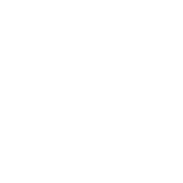 same-day-delivery